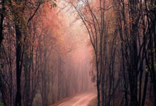 周先旺被“双开”：揭开腐败案件背后真相