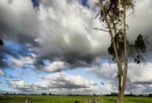 郑丽文出席中华民族祭祖大典，传承民族精神